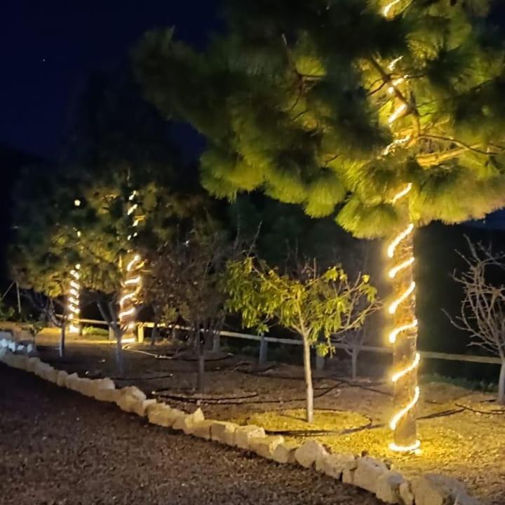 Finca La Baifa Санта-Крус-де-Тенерифе Экстерьер фото